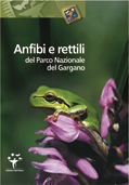 Anteprima pubblicazione: Anfibi e rettili del Parco Nazionale del Gargano