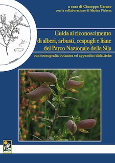 Anteprima pubblicazione: Guida al riconoscimento di alberi, arbusti, cespugli e liane del Parco Nazionale della Sila