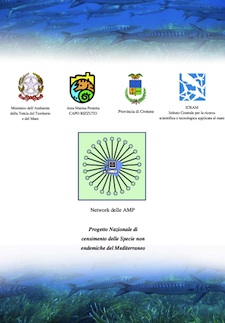 Anteprima pubblicazione: Programma nazionale identificazione delle specie non indigene nei mari italiani - Studio