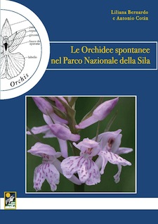Anteprima pubblicazione: Le orchidee spontanee nel Parco Nazionale della Sila