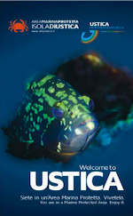Anteprima pubblicazione: Brochure dell'area marina protetta