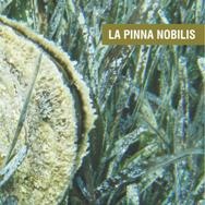 Anteprima pubblicazione: La Pinna nobilis