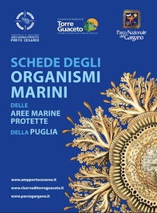 Anteprima pubblicazione: Schede degli organismi marini nelle Aree Protette della Puglia