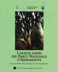 Anteprima pubblicazione: I grandi alberi del Parco Nazionale dAspromonte