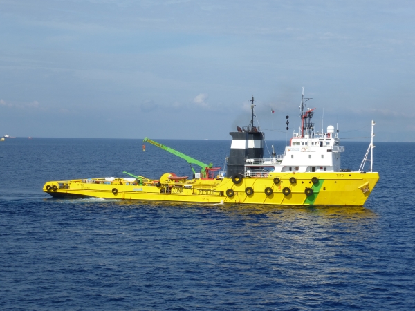 Supply Vessel: unità di altura abilitate alla
  navigazione internazionale lunga